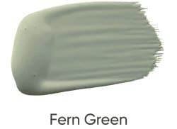 Fern-Green-250x182